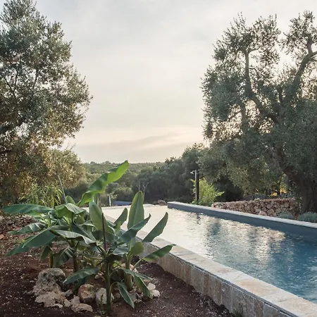 Anima לינה וארוחת בוקר *