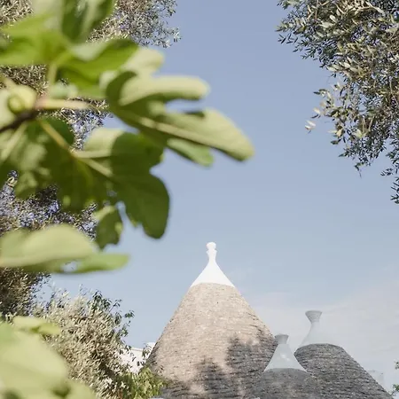 לינה וארוחת בוקר Anima *