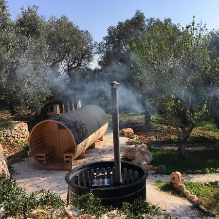 Anima * צ'לייה מספיקה