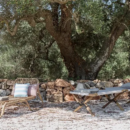 Anima צ'לייה מספיקה