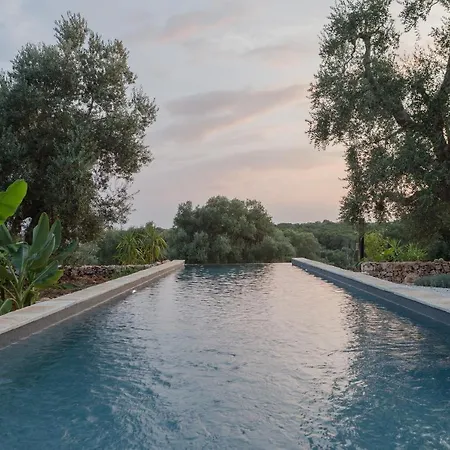 לינה וארוחת בוקר Anima *