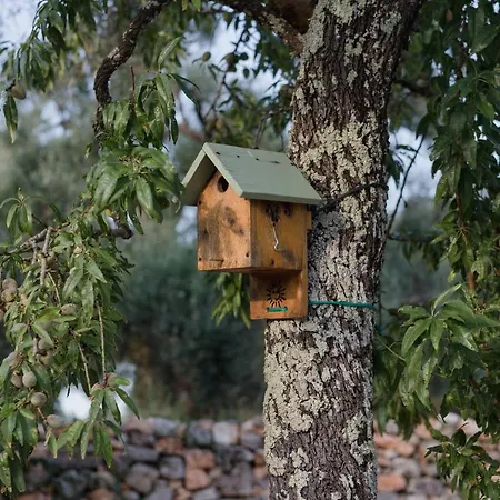 לינה וארוחת בוקר Anima