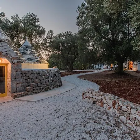 Anima 세글리에 메사피카