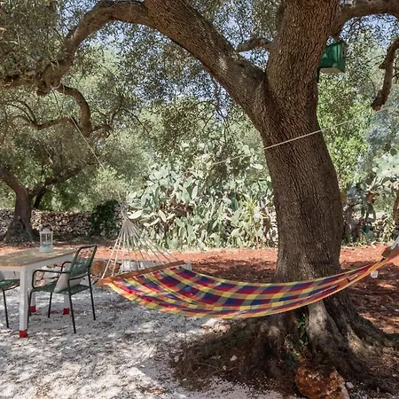 Anima B&B 세글리에 메사피카