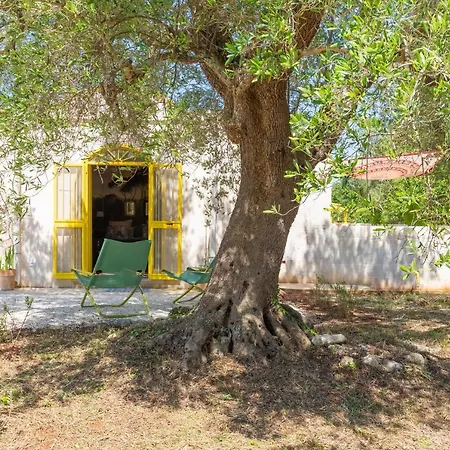 Anima B&B 세글리에 메사피카