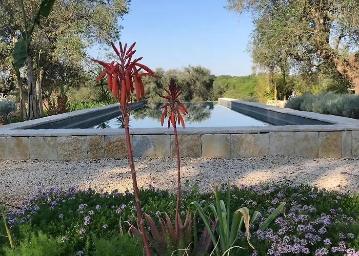 Anima Bed & Breakfast Ceglie Messapica